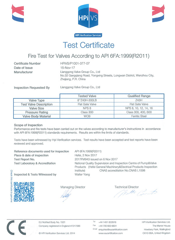 HPiVS-P1001-377-07